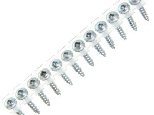 Screw